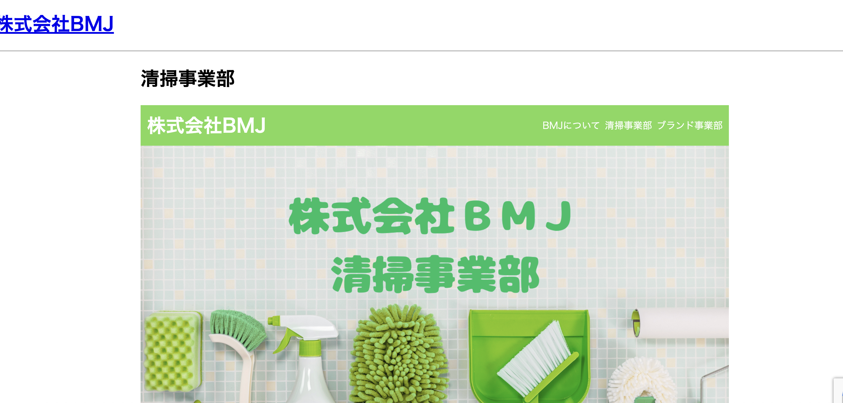 BMJの公式サイト